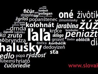 Nielen cudzie jazyky, aj slovenčina nás baví!